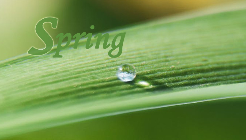 带父母春日踏青，你可能只差这一步……